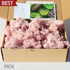 [파스텔핑크 모스] 0205 200g 스텔라 모스이끼 원예 인테리어 장식 재료 픽앤코401