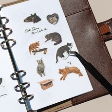 [A6] 새틴 레이어북 리필 속지 - 이형지, 1개