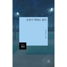 슬픔이 택배로 왔다 : 정호승 시집 - 창비시선 482 - 정호승, 창비