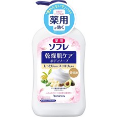 550mL 약용 소후레 건조 피부 케어 바디 비누 본체 (아기와 함께 사용할 수