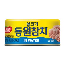 동원참치 동원 참치 인 워터, 100g, 10개