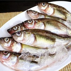 [만족도1위] 최상급원물 햇 도루묵, 1박스, 1kg