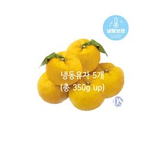 고흥냉동유자 못난이 동결유자 유자차 쌍화차 유자에이드 유자청(5개 총 500g 전후), 1세트