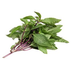 타이바질 Rau Hung Que 훌라파 베트남바질 향채 쌀국수 허브 동남아 신선채소, 1박스, 100g