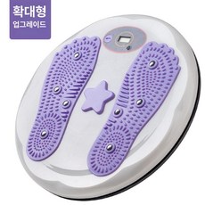 올원픽 허리돌리기운동기구 가정용 기구 허리 원판, 1개, 퍼플