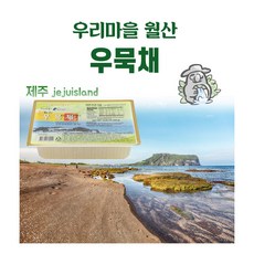 제주 산지 우뭇가사리 가공 국내산 저칼로리 우무채 400g, 10개