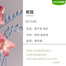 聖誕節 無火香薰禮盒 生日禮物 閨蜜小眾 高級感 男生實用禮品 伴手禮 新婚, 1個, 【東方調】救贖