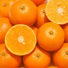 [50박스 한정초특가] 제주 게르마늄 천혜향 과즙팡팡 당도선별 투푸릇, 1개, 5kg