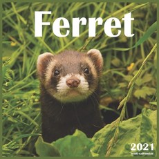 Ferret: 2021 Wall & Office Calendar 12 Month Calendar Paperback, Independently Published, English, 9798696174419