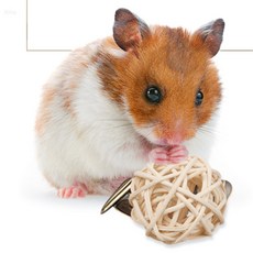 올샵 햄스터 등나무공 장난감 햄스터 스트레스해소, 1, 2-햄스터공5cm