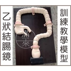 滿來 乙狀結腸鏡 訓練教學模型 腸道解剖模型, 1個, 大腸乙狀結腸鏡模型ARAI
