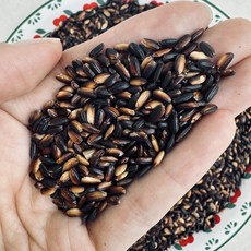 영원농산 국산 25년산 진도 특품 찰흑미 1kg 검정쌀 흑미밥 검은쌀 흑미쌀, 1개