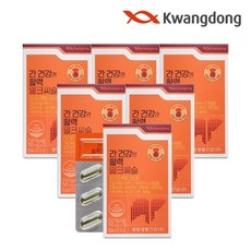 광동 간 건강엔 활력 밀크씨슬 22.5g, 6개