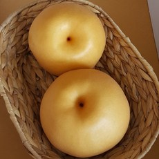 보성농수산 2022년 햇 신고배 5kg 7-9과 대과 선물용 7.5kg 10kg 직접생산 배농장직송, 50개
