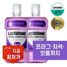 리스테린 토탈 케어 플러스 구강청결제, 1L, 2개