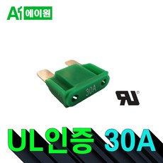 UL인증 30A 맥시휴즈 UL Certified Maxi Fuse 30A