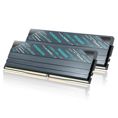 킹뱅크 스타 블레이드 DDR5 하이닉스 A다이 6000MHZ CL28 데스크톱용 램 16GB 블랙 2개입, 1개, KP46002816G-MSI