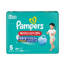 팸퍼스 2025 베이비드라이 팬티형 기저귀 남녀공용, 5단계, 108매