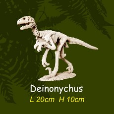공룡뼈화석발굴 데이노니쿠스 [LDS2]