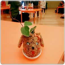 멍멍이 토피어리재료 미니화분 체험학습 공기정화, 1개