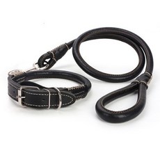 웰럽 프리미엄 반려견 강아지 목줄 세트 WL-1189, 블랙, 1개