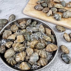 바지락(국내산_고창) 1kg, 1개