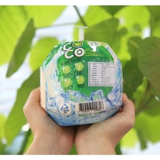 베트남 영코코넛 쥬스 열대과일 코코넛 영 코코넛 생코코넛, 1박스, 1개