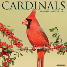 (英文圖書)Cardinals 2026 12 X 12 Wall Calendar Spiral, Willow Creek Press Calendars, 英文, 螺旋裝訂