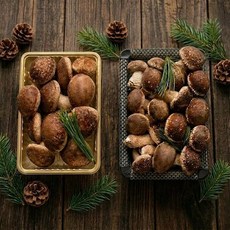 송이향과 표고버섯 맛의 송고버섯 고급 vip 선물용 700g, 1박스