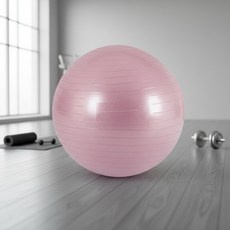 안티버스트 짐볼 55cm 와일드 핑크 홈트레이닝 강템, 1개