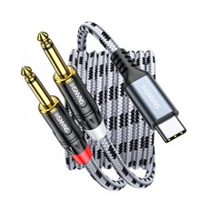 USB C에서 14인치 오디오 케이블 6.6피트 타입 듀얼 6.35mm TS 모노 Y 분배기 내장 DAC하이파이 사운드 아이폰 151617 갤럭시 S25S24 픽셀과 호환 앰프