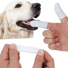 반려동물 구강관리 손가락형 칫솔 일회용 거즈타입 면소재 위생적인 애견 양치용품, 1개