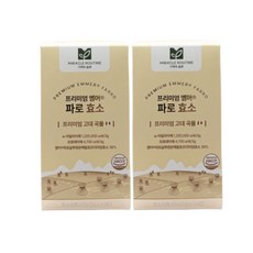 핏고비 파로효소 42g 2개 549538
