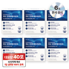 뉴트리정 두뇌 인지력 케어 ps70 고함량 포스파티딜세린 아연 대용량 분말스틱 40포, 6박스, 80g