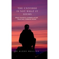 (영문도서)The Universe Is Not What It Seems: What Physics Learned After Trusting Common Sense Hardcover, Notion Press, English, 9798902699361