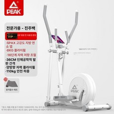 런닝머신 자전거 실내 충격 소음방지 운동화 거치대 홈트, 기본 색상, B. 전문 16단계 조절 8kg 강화 프레임