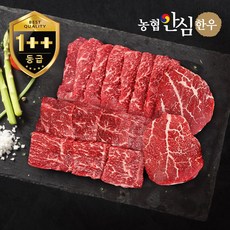 [농협안심한우] 1++등급 한우 모둠구이 한판 600g (보섭+설깃+우둔), 1개
