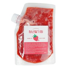 청년수제청 과일청 자일로스 수제 딸기청, 1개, 500g