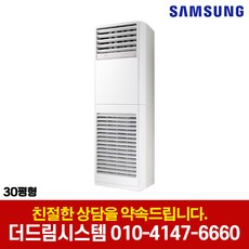 삼성전자 업소용 상업용 사무실 인버터 스탠드 냉난방기 빠른설치 실외기포함 더드림시스템, AP110BAPPBH2S (30평형 단상) 기본설치별도, 일반배관형