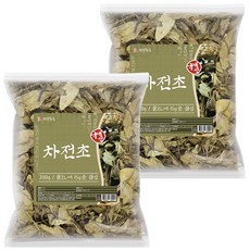 건강중심 국산 차전초 질경이 차 200g, 2개