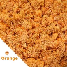 500g/1000g 미니 풍경 이끼 잔디 영원한 생명 가짜 인공 녹색 식물 홈 정원 장식 DIY 공예, 16)1000gram, Orange