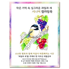 어르신 색칠공부 치매예방 시니어 컬러링북 인지향상 색칠도안 B4 큰 그림 과일과 새, 그림빛, 윤동길