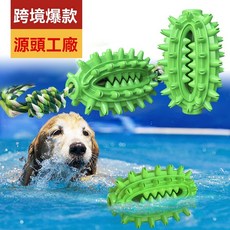 仙人球狗狗玩具 寵物磨牙棒狗牙刷, 1個, 帶繩仙人球,湖藍色, 湖藍色