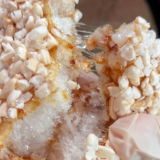 수제 찹쌀한과 찹쌀유과 파지 못난이한과 과즐 1.7kg 2.5kg, (중) 1.7kg, 1개