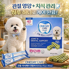 원데이케어 애견관절 치석케어 15g 코스트코 강아지 껌 (사은품 강아지 신발 무료증정), 40회분, 구강/치석관리, 1개