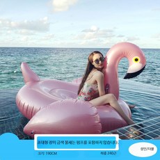 성인용 로즈골드 백조 플라밍고 수영장튜브 물놀이 감성 대형 물놀이용품 휴양지 워터파크용 튜브, 1개, 1.9m 로즈골드 불새 펌프 미포함