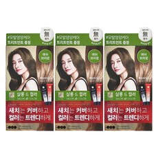 엘지 엘라스틴 염색약 살롱드컬러 애쉬브라운 X 3개