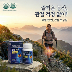 관절보궁 원 정품 프리미엄 알약 옵티MSM 1500 관절 연골 건강 식약처 인증, 1박스, 60회분