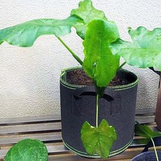 화분 텃밭용 부직포 손잡이형 야외 베란다