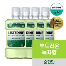 리스테린 내추럴 그린티 마일드 구강청결제, 250ml, 4개